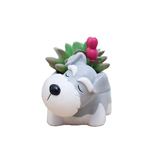 Youfui Cute Planter Animal Shaped Cartoon Home Decoration Succulent Vase Flower Pots (Schnauzer)