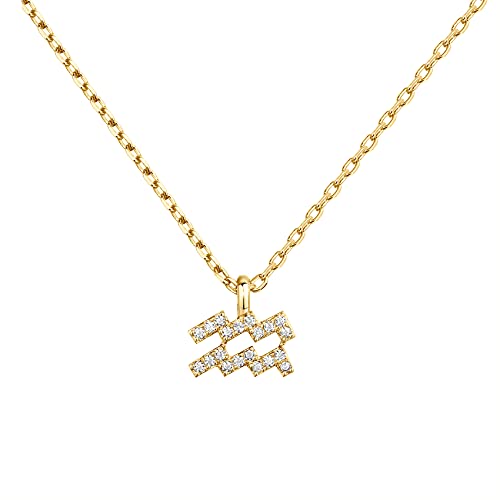 PAVOI 14K Gold Plated CZ Astrology Necklace Astrology Necklace | Astrology Gifts For Women | Zodiac Necklaces (Aquarius)