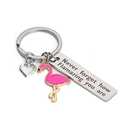 BOMEON Flamingo Gifts for Women, Flamingo Keychain Womens Keychain, Inspirational Gifts for Women, Motivational Gifts, Encouragement Gifts for Women, Get Well Soon Gifts, Cheer Up Gifts for Women