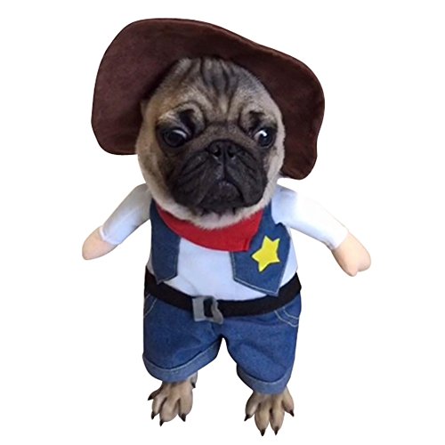 NACOCO Cowboy Dog Costume with Hat Dog Clothes Halloween Costumes for Cat and Small Dog (Large) Blue