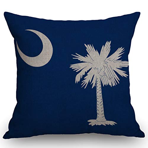 SSOIU Flag of South Carolina Theme Farmhouse Decorative Throw Pillow Covers for Sofa Couch Home Decoration 18x18 inches