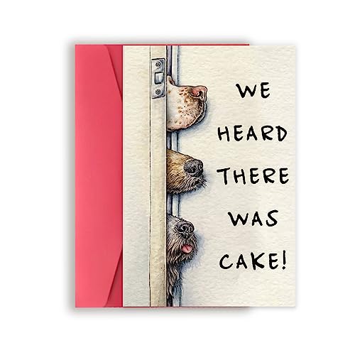 VvOoOvV Cute Dog Birthday Cake Card for Woman Men, Happy Birthday Card from Dog, Birthday Cards Funny for Dog Lovers, Humor Dog Bady Greeting Card