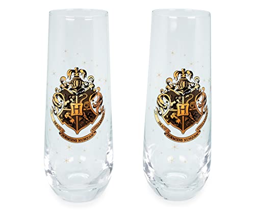 Harry Potter Hogwarts 9-Ounce Stemless Fluted Glassware, Set of 2 | Toasting Champagne Glass Cups For Wine, Mimosas, Cocktails | Home Barware Decor, Kitchen Essentials, Housewarming Gifts