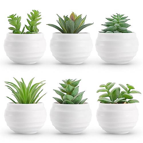 Der Rose Set of 6 Succulents Plants Artificial in Pots Small Fake Plants for Bedroom Aesthetic Living Room Office Shelf Bathroom Decor