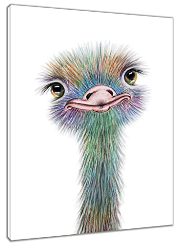 HVEST Ostrich Canvas Wall Art Watercolor Cute Animal Artwork Bird Paintings for Living Room Bedroom Bathroom Decor,Stretched and Framed Ready to Hang,12x16 inches