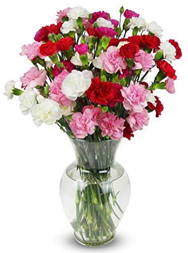BENCHMARK BOUQUETS - 20 Stem Rainbow Mini Carnations (Glass Vase Included), Next-Day Delivery, Gift Mother’s Day Fresh Flowers