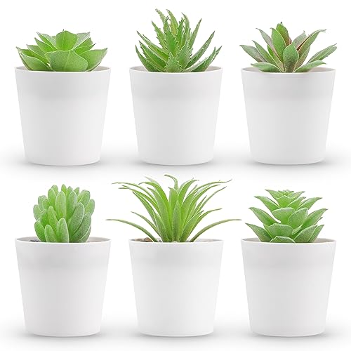 Der Rose Set of 6 Fake Plants Succulents Plants Artificial in Pots for Bedroom Aesthetic Living Room Bathroom Office Home Decor