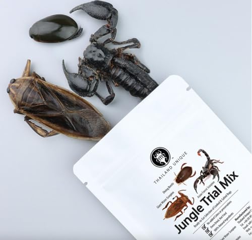 Thailand Unique Jungle Mix 14G Bag with an Asian Forest Scorpion, a Diving Beetle and a Giant Waterbug - of Edible Insects for Human Consumption, Healthy Superfood