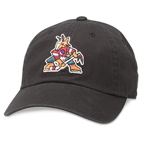 AMERICAN NEEDLE Unisex Blue Line NHL National Hockey League Team Baseball Hat Adjustable Buckle Strap Dad Cap
