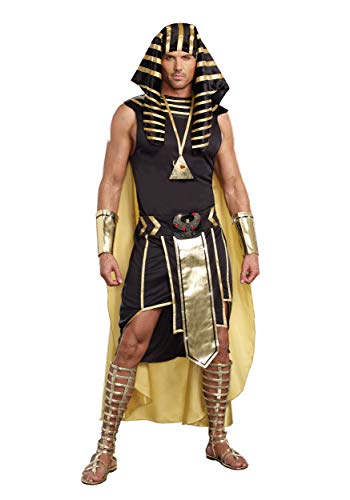 Dreamgirl Men's King of Egypt Adult Fashion Costume