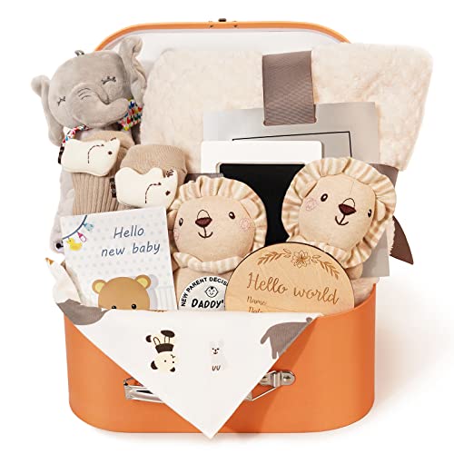 Baby Gift Set for Newborn - 11PCS Baby Shower Gifts Basket with Baby Blanket Baby Rattle, Wooden Keepsake Milestone Elephant Toy Decision Coin & Baby Bibs Socks Essentials for Baby Girls Boys