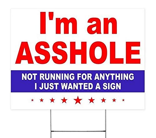 UFunhome JeanLowell I'm an Asshole I'm Not Running for Anything I Just Wanted a Sign Funny Yard Sign Sarcastic Yard Sign Funny Political Sign Great Gift
