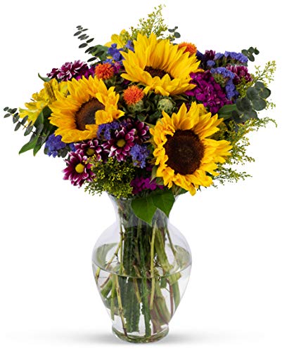 BENCHMARK BOUQUETS - Flowering Fields (Glass Vase Included), Next-Day Delivery, Gift Mother’s Day Fresh Flowers