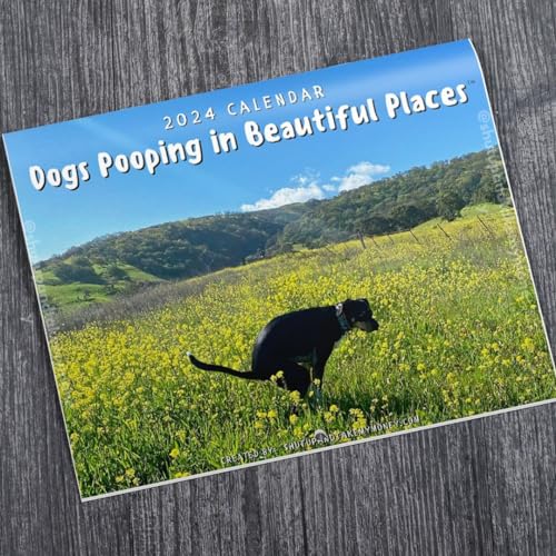 Dogs Pooping In Beautiful Places 2024 Calendar - Holiday Christmas Gag Gift White Elephant
