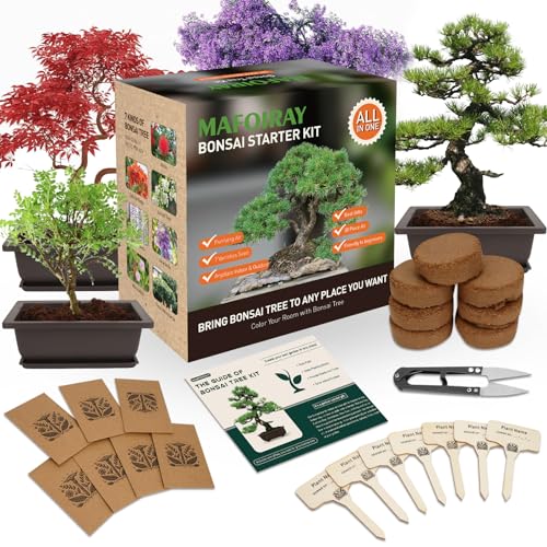 Bonsai Tree Kits, Bonsai Starter Kits with Bonsai Pots, Tools, Bonsai Tree Live, 7 Kinds of Bonsai Tree Seeds, Soil, Trays, Grow Bonsai in Indoor, Beginners Kits Garden Plant Kits Gifts for Men Women