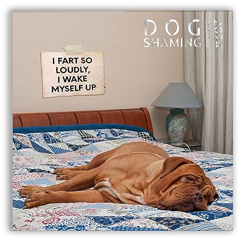 Dog Shaming Calendar 2024, Funny Wall Calendar, Dog Lover, 2024 Dog Wall Calendar