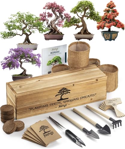 AVERGO Bonsai Tree Kit – 5X Unique Japanese Bonzai Trees | Complete Indoor Bonsai Starter Kit for Growing Bonsai Plants with Tools & Planters – Gardening Gifts for Women & Men