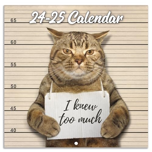 2024-2025 Wall Calendar - Funny Cat Calendar 2024-2025, APR. 2024 - JUN. 2025, 15-Month Calendar, Gag Gift Funny Cat Memes Pics, 12' x 24' Opened