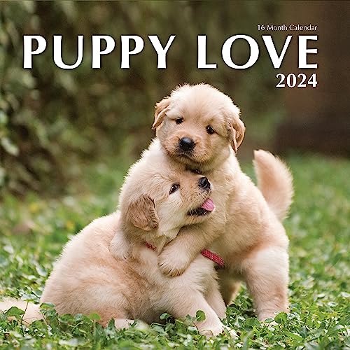 Puppies 2022 Hangable Wall Calendar - 12' x 24' When Open - Full Page Months & Dog Cute Funny Puppy Dogs Photography - Organizing & Planning