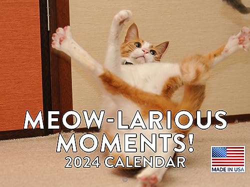 Funny Cat Calendar 2024 Meowlarious Wall Calander Monthly 12 Month