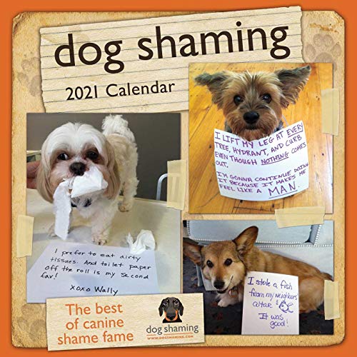 10 Funny Dog Calendar 2021