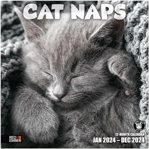 RED EMBER Cat Naps 2024 Hangable Monthly Wall Calendar | 12' x 24' Open | Thick & Sturdy Paper | Giftable | Kids Teen Cute Funny Kitten | Sweet, Sweet Sleep