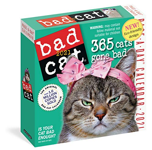 Bad Cat Page-A-Day Calendar 2021