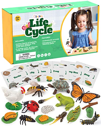 Life Cycle Kit Montessori - Realistic Figurine Toys, Kids Animal Match Set with Frog, Ladybug, & More - Includes 24-Piece Animals, Stocking Stuffers Educational & Fun Learning Game for Children 3+