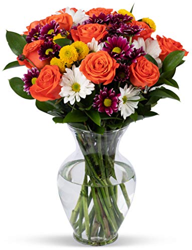 BENCHMARK BOUQUETS - Life is Good Orange (Glass Vase Included), Next-Day Delivery, Gift Mother’s Day Fresh Flowers