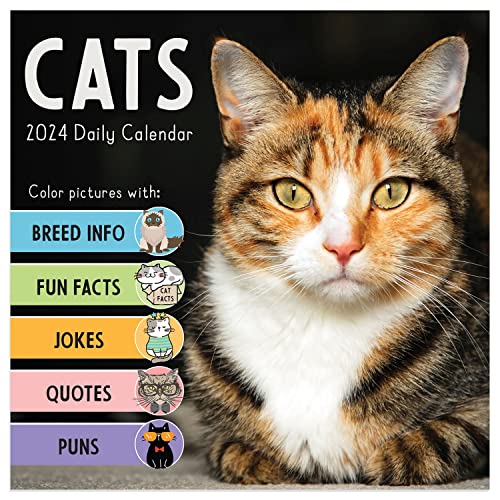 TF PUBLISHING 2024 Cat A Day Daily Desktop Calendar | Home and Office Organization | Over 300 Full-Color Easy Tear-Off Pages | Attached Fold-Out Cardboard Easel for Desks | 5.25” x 5.25”