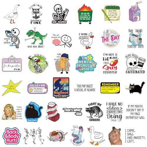 Chivertion 400 Pcs Funny Stickers for Adults Funny Water Bottles Stickers Pack Waterproof Cool Stickers for Laptop, Bumper, Phone, Hard Hats, Wall, Window Decals Decors, 50 Styles