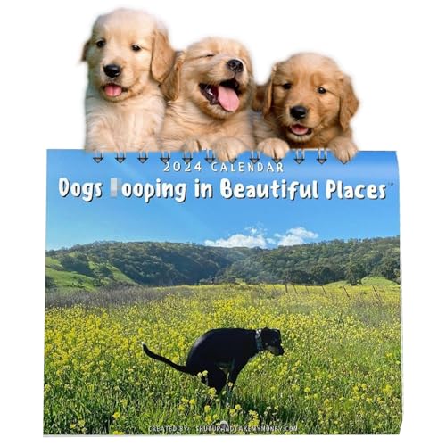 2024 Wall Calendar with Hilarious Dog Pictures - Perfect Gag Gift for Holidays - idudu 12 Month Funny Gift Calendar (Style A)