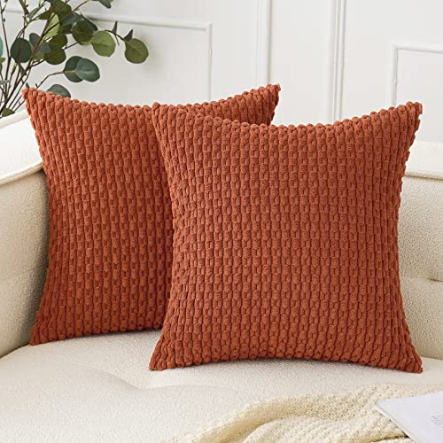 Woaboy Burnt Orange Throw Pillow Covers 18x18 Inch Set of 2 Decorative Couch Pillow Covers Farmhouse Soft Corduroy Boho Home Decors for Spring Cushion Bed Sofa Living Room