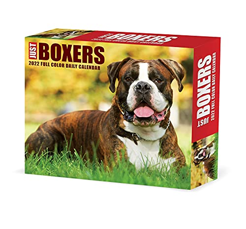 Boxers 2022 Box Calendar - Dog Breed Daily Desktop