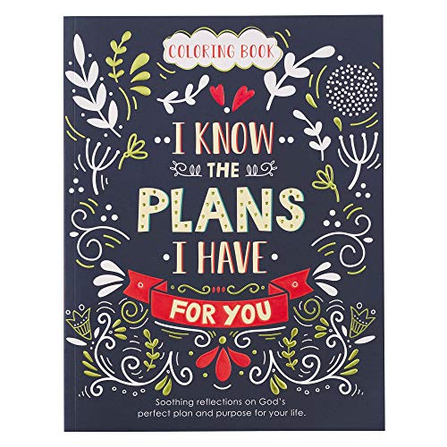 For I Know The Plans I Have For You Coloring Book for Adults Soothing Reflections on God's Perfect Plan and Purpose For Your Life Jeremiah 29:11 (9.99)