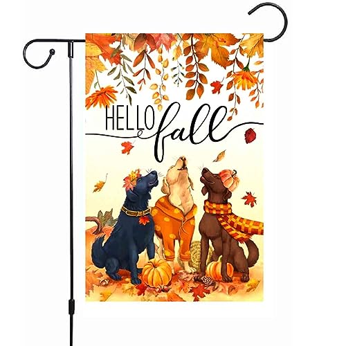 Hello Fall 12x18 Inch Vertical Small Double Sided Garden Flag,Pumpkin Dog Autumn Harvest Thanksgiving Holiday Yard Outdoor Outside Seasonal Decor