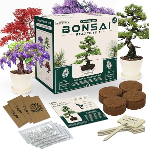 Bonsai Tree Kits - Bonsai Starter Kits with Bonsai Tools, 4 Kinds of Bonsai Tree Seeds, Soil, Pots, Trays, Grow Bonsai Tree in Live Indoor, Starter Kits Plant Bonsai Kits Gifts for Men and Women
