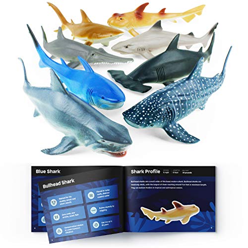 Boley Shark Toys - 8 Pack 10' Long Soft Plastic Realistic Shark Toy Set - Toddler Sensory Toys and Birthday Party Favors for Kids