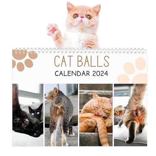 2024 Wall Calendar | Cat Balls Calendar 2024, 12 Monthly Funny Cats Calendar 2024, 11' x 8.3', Christmas Halloween Birthday Gifts Gag Quirky Novelty Calendar Gifts for Adults Best Friends Coworkers