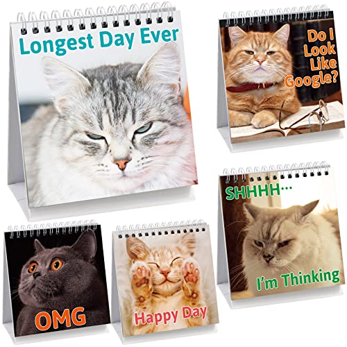 Funny Desk Signs for Kitten Lovers 30 Different Fun and Flip-Over Messages for Office Gifts Desk Accessories