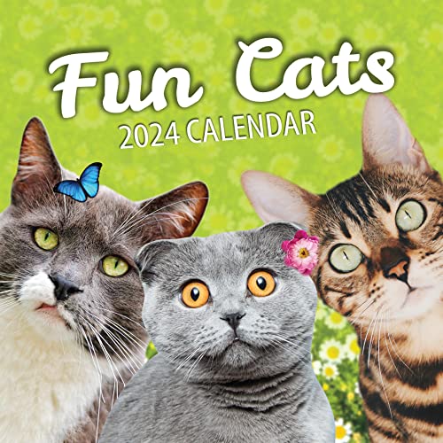 Fun Cats Wall Calendar 2024 - Large Family Planner & Daily Organizer with Funny Monthly Cat Images - Slim Design 2024 Wall Planner - Cat Calendar - Funny Cat Gifts