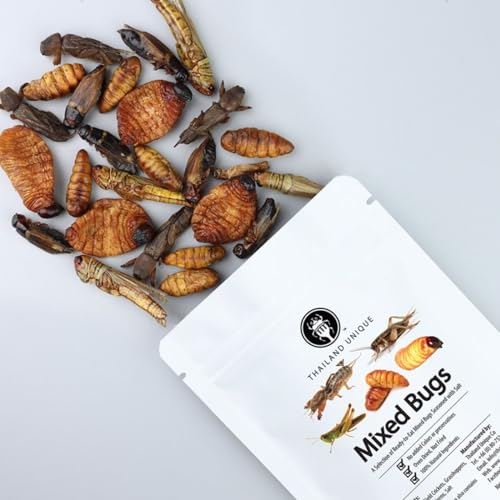 Thailand Unique Original Mixed Insects - 15G Bag of Salted Mole, Field Crickets, Sago, Silk Worms and Grasshoppers Edible Bugs for Human Consumption, Healthy Superfood