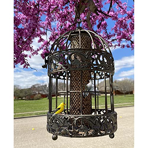 Westcharm Squirrel Proof Caged Bird Feeder for Outside Outdoor 13 in. Hanging Metal Bird Feeder, Unique Tall Rustic Mesh Tube Feeder for Garden - Verdigris with 3.5 Cups Seed Capacity