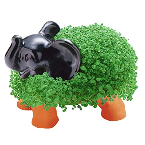 Chia Pet Elephant with Seed Pack, Decorative Pottery Planter, Easy to Do and Fun to Grow, Novelty Gift, Perfect for Any Occasion