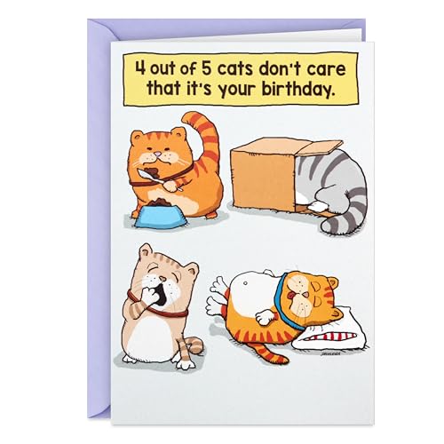 Hallmark Shoebox Funny Birthday Card (Cats Don't Care)