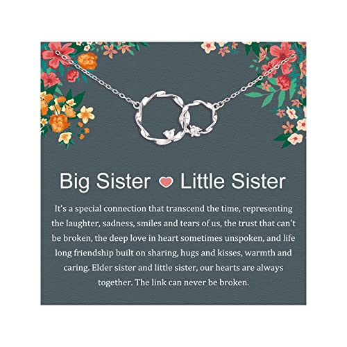 AnalysisyLove Sister Gifts, Sterling Silver Interlocking 2 Circles Necklace Gifts for Sisters, Big Sister Little Sister Gift, Sister Birthday Gifts from Sister