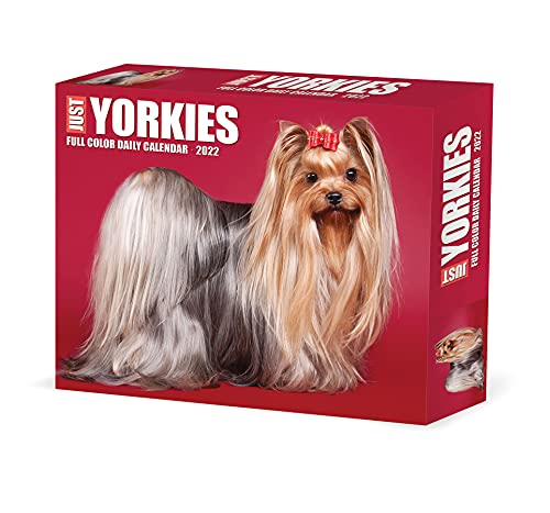 Yorkies 2022 Box Calendar - Dog Breed Daily Desktop