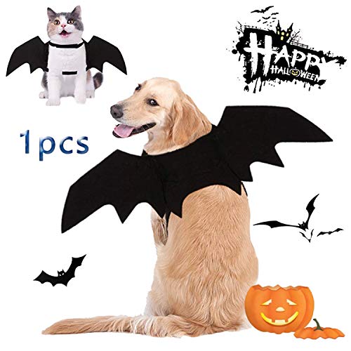 Amazon 10 Funny Halloween Costumes for Cats 2020 - Oh How Unique!