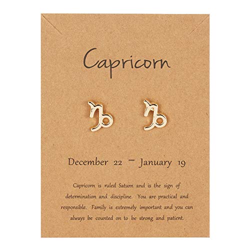 2021 New Card Packaging Horoscope Zodiac Stud Earrings 12 Constellation Astrology 18K Gold Plated Little Ear Stud for Women Teens Birthday Anniversary Friendship Exquisite Jewelry Gift(Capricorn)