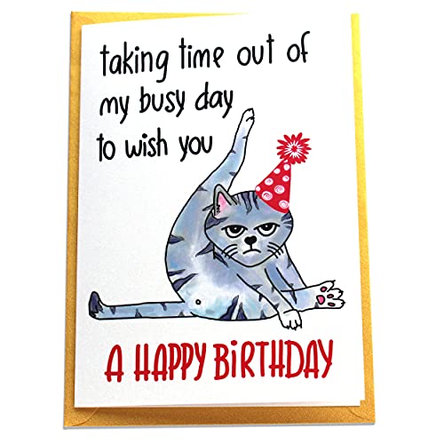 Taking Time out of My Busy Day to Wish You a Happy Birthday Handmade Card, Funny Bday Gift for Cat Mom, Cat Dad or Cat Lover